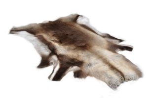 Skin from reindeer calf for decoration